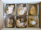 Natural Cascading White Phantom Smokey Luena Quartz Clusters x 6 From Luena, Congo