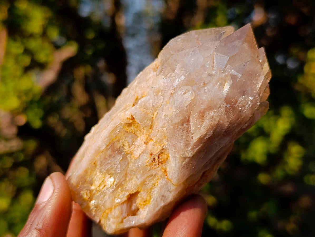 Natural Cascading White Phantom Smokey Luena Quartz Clusters x 6 From Luena, Congo - Toprock Gemstones and Minerals 