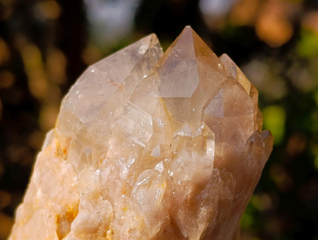 Natural Cascading White Phantom Smokey Luena Quartz Clusters x 6 From Luena, Congo - Toprock Gemstones and Minerals 