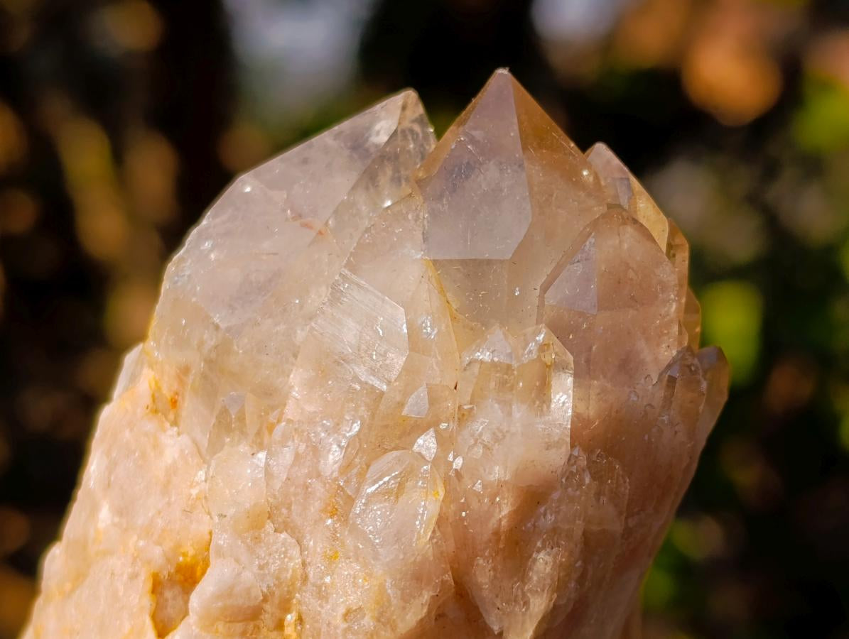 Natural Cascading White Phantom Smokey Luena Quartz Clusters x 6 From Luena, Congo - Toprock Gemstones and Minerals 