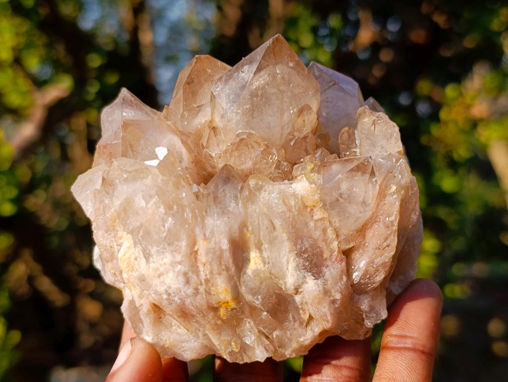 Natural Cascading White Phantom Smokey Luena Quartz Clusters x 6 From Luena, Congo - Toprock Gemstones and Minerals 