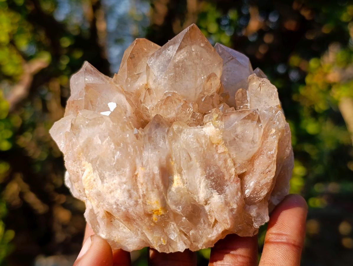 Natural Cascading White Phantom Smokey Luena Quartz Clusters x 6 From Luena, Congo - Toprock Gemstones and Minerals 