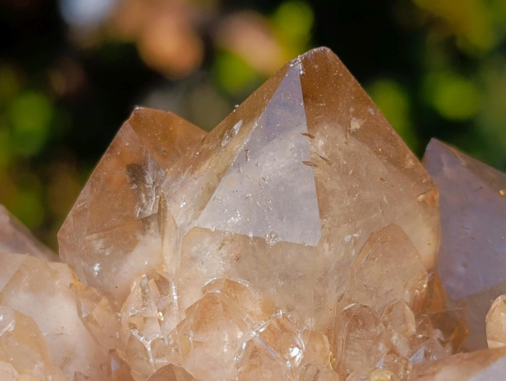 Natural Cascading White Phantom Smokey Luena Quartz Clusters x 6 From Luena, Congo - Toprock Gemstones and Minerals 