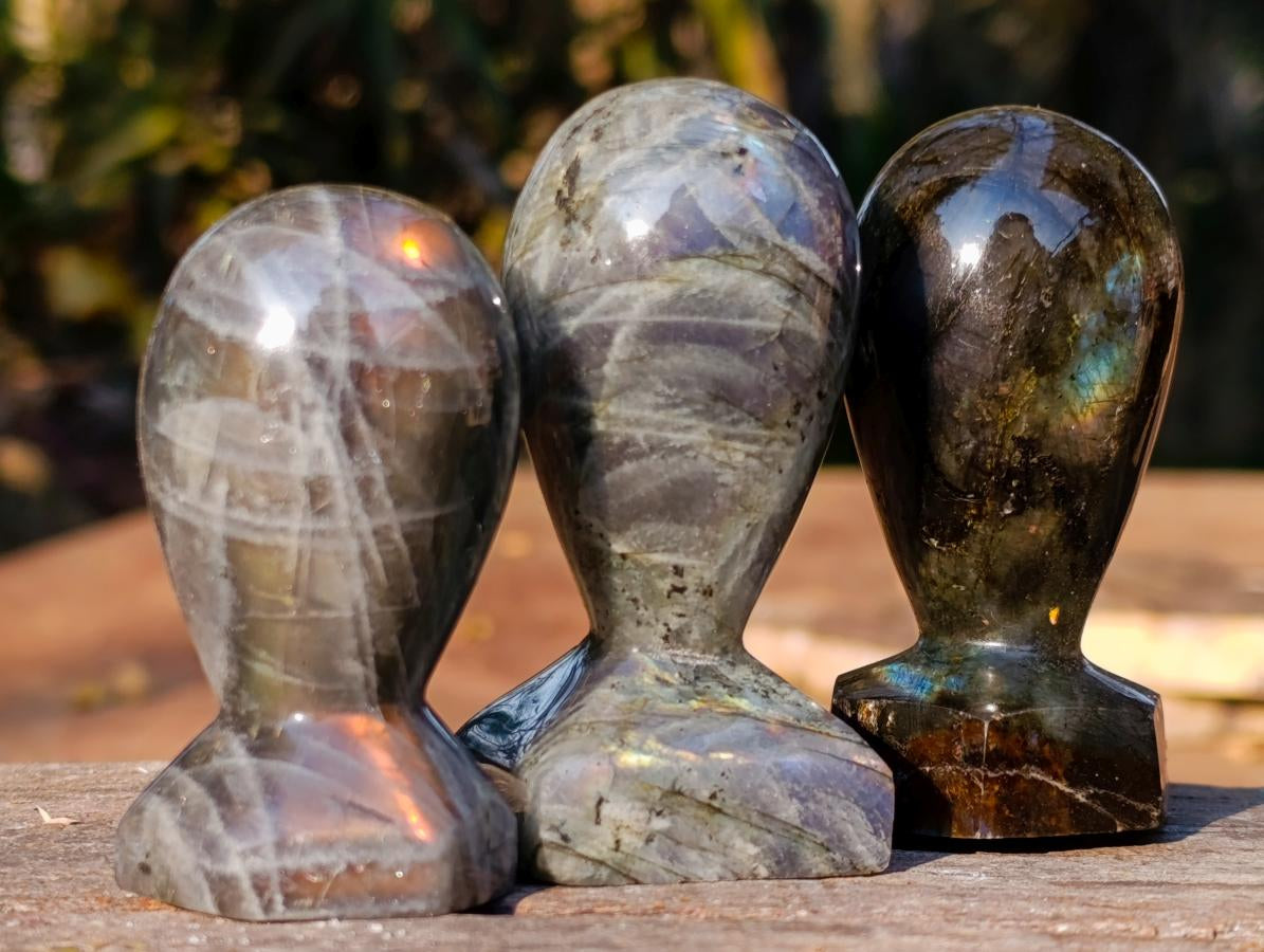 Polished Labradorite Stamp Handles x 12 From Madagascar - Toprock Gemstones and Minerals 