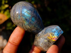 Polished Labradorite Stamp Handles x 12 From Madagascar - Toprock Gemstones and Minerals 