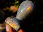 Polished Labradorite Stamp Handles x 12 From Madagascar - Toprock Gemstones and Minerals 