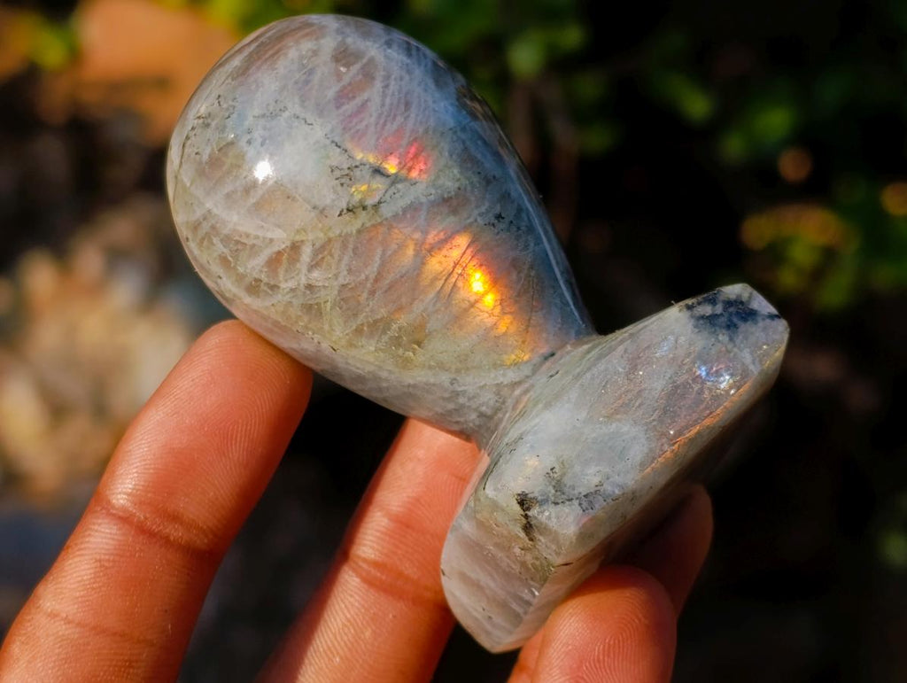 Polished Labradorite Stamp Handles x 12 From Madagascar - Toprock Gemstones and Minerals 