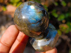 Polished Labradorite Stamp Handles x 12 From Madagascar - Toprock Gemstones and Minerals 