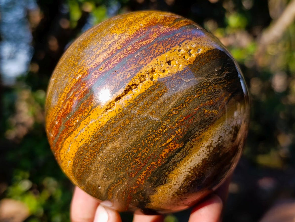 Polished Ocean Jasper Spheres x 2 From Northwest Coast, Madagascar - Toprock Gemstones and Minerals 