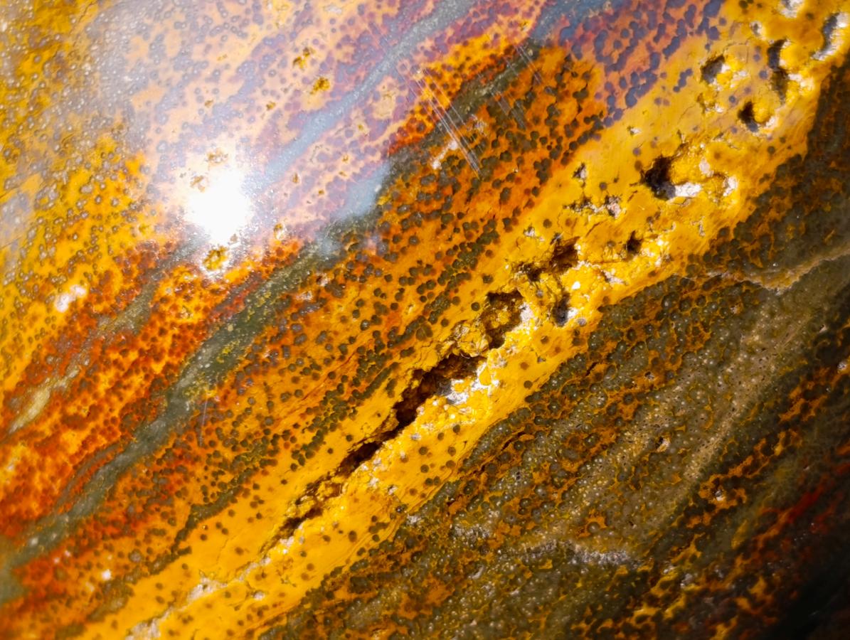 Polished Ocean Jasper Spheres x 2 From Northwest Coast, Madagascar - Toprock Gemstones and Minerals 