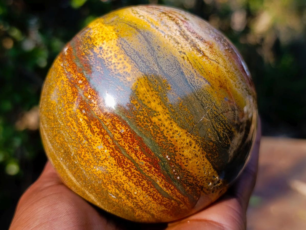 Polished Ocean Jasper Spheres x 2 From Northwest Coast, Madagascar - Toprock Gemstones and Minerals 