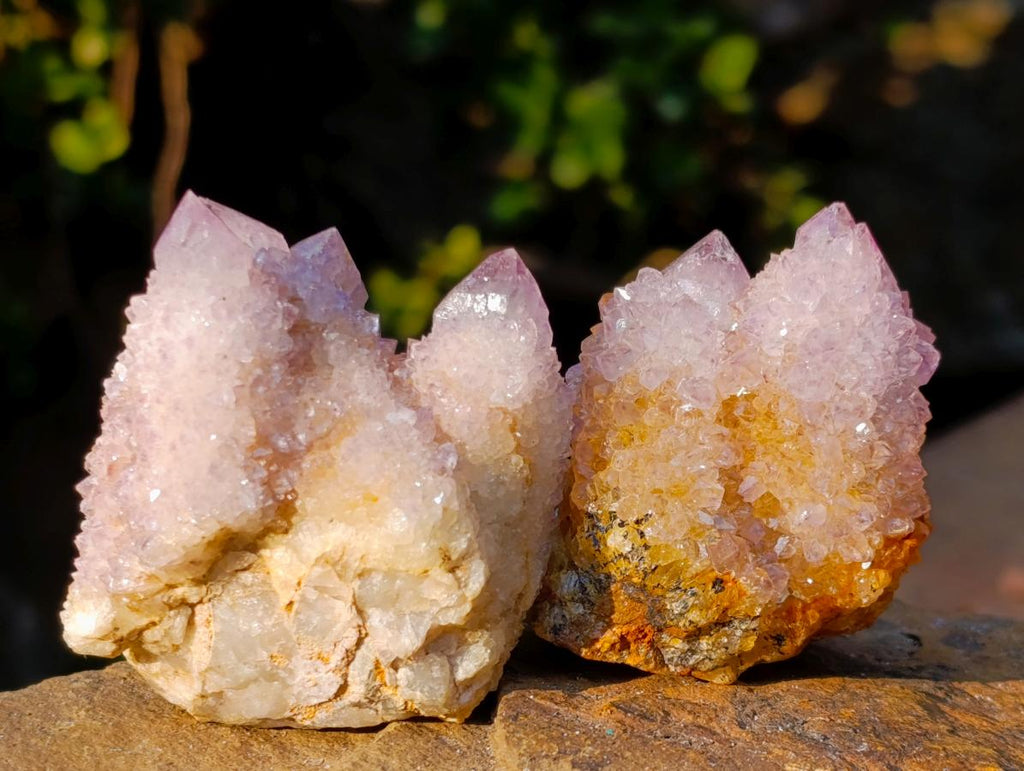 Natural Spirit Amethyst Clusters x 12 From Boekenhouthoek, South Africa - Toprock Gemstones and Minerals 