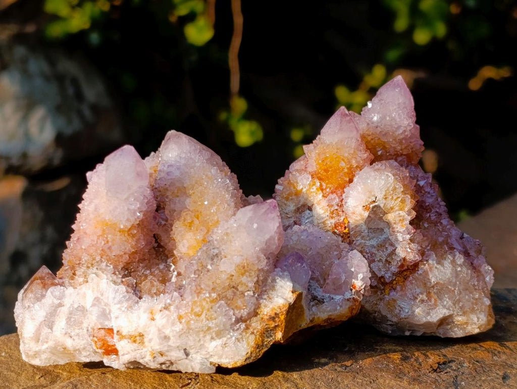 Natural Spirit Amethyst Clusters x 12 From Boekenhouthoek, South Africa - Toprock Gemstones and Minerals 