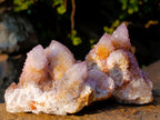 Natural Spirit Amethyst Clusters x 12 From Boekenhouthoek, South Africa - Toprock Gemstones and Minerals 