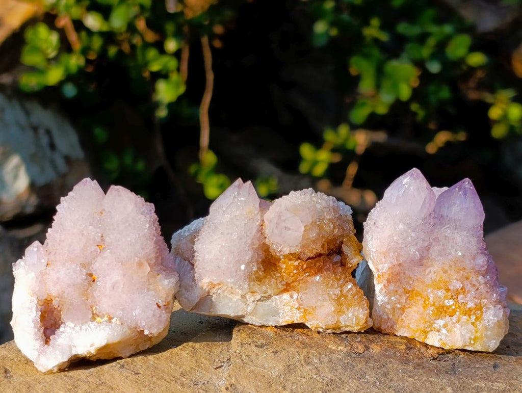 Natural Spirit Amethyst Clusters x 12 From Boekenhouthoek, South Africa - Toprock Gemstones and Minerals 