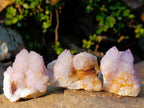 Natural Spirit Amethyst Clusters x 12 From Boekenhouthoek, South Africa - Toprock Gemstones and Minerals 