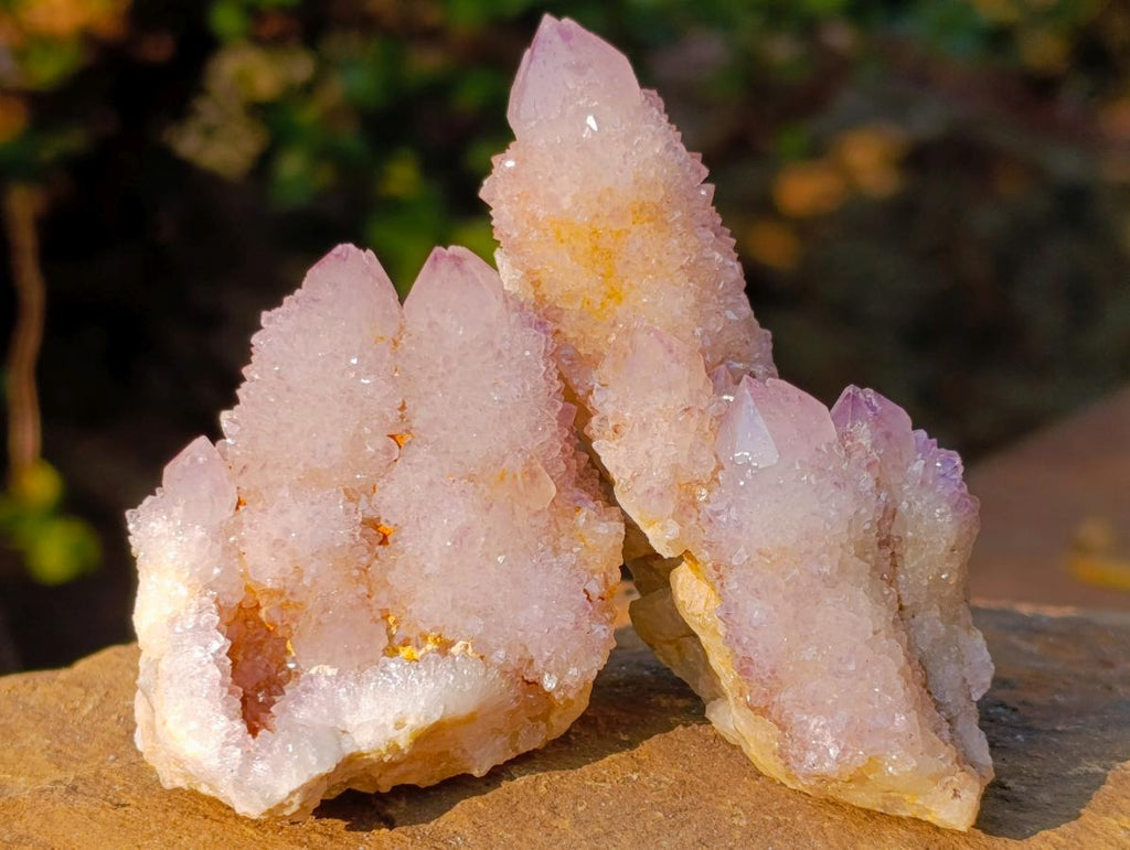Natural Spirit Amethyst Clusters x 12 From Boekenhouthoek, South Africa - Toprock Gemstones and Minerals 
