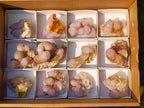 Natural Spirit Amethyst Clusters x 12 From Boekenhouthoek, South Africa - Toprock Gemstones and Minerals 