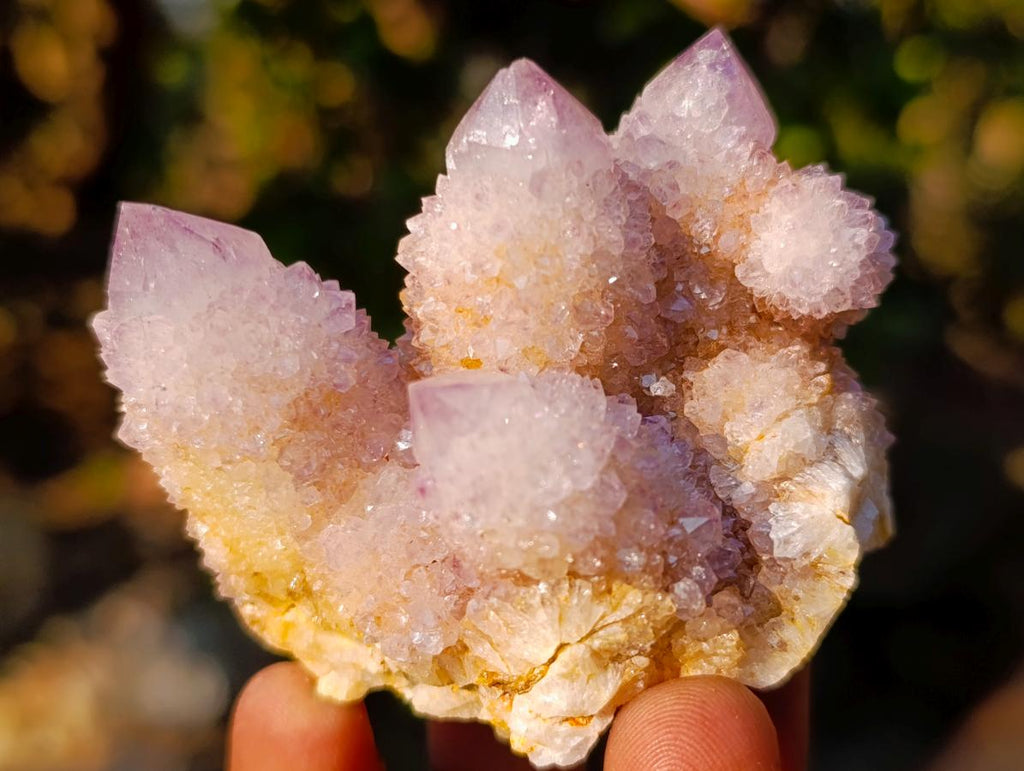 Natural Spirit Amethyst Clusters x 12 From Boekenhouthoek, South Africa - Toprock Gemstones and Minerals 