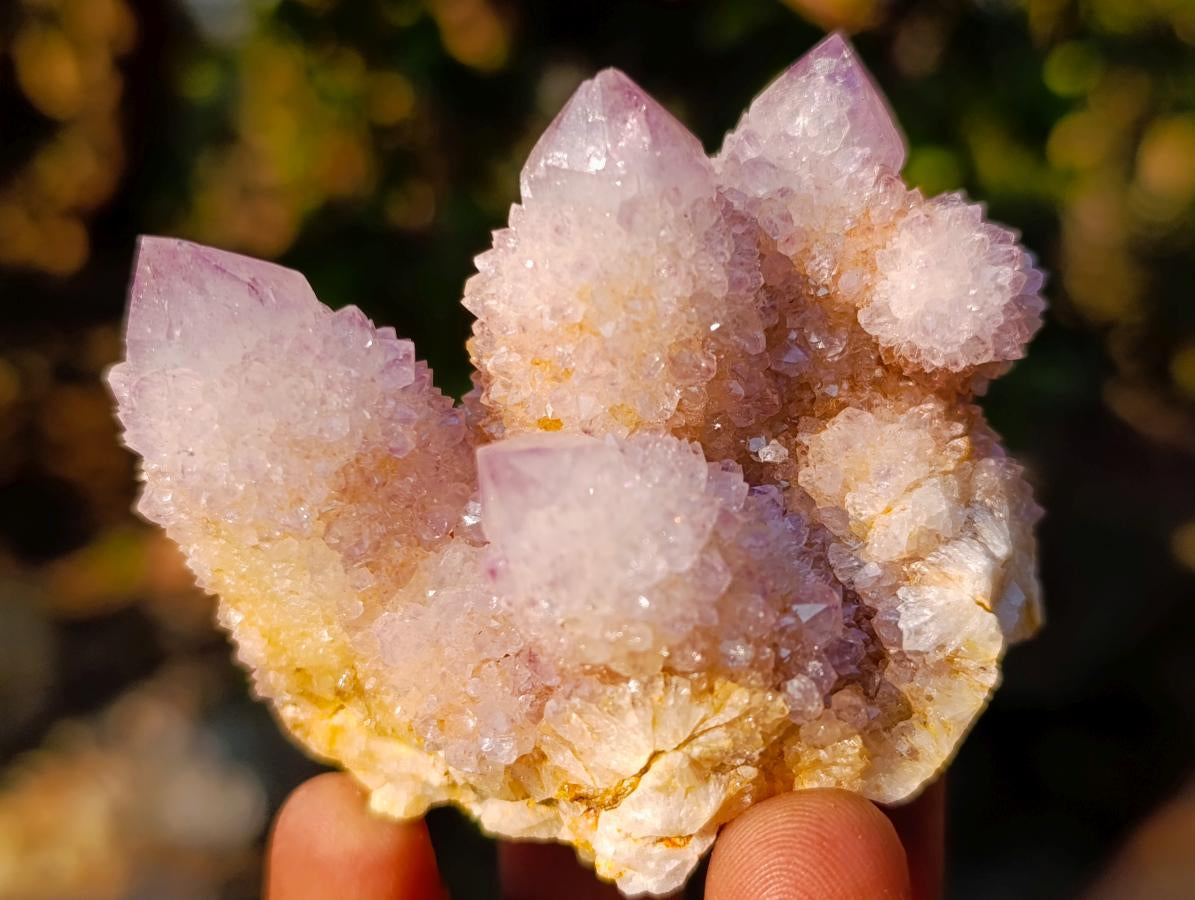 Natural Spirit Amethyst Clusters x 12 From Boekenhouthoek, South Africa - Toprock Gemstones and Minerals 