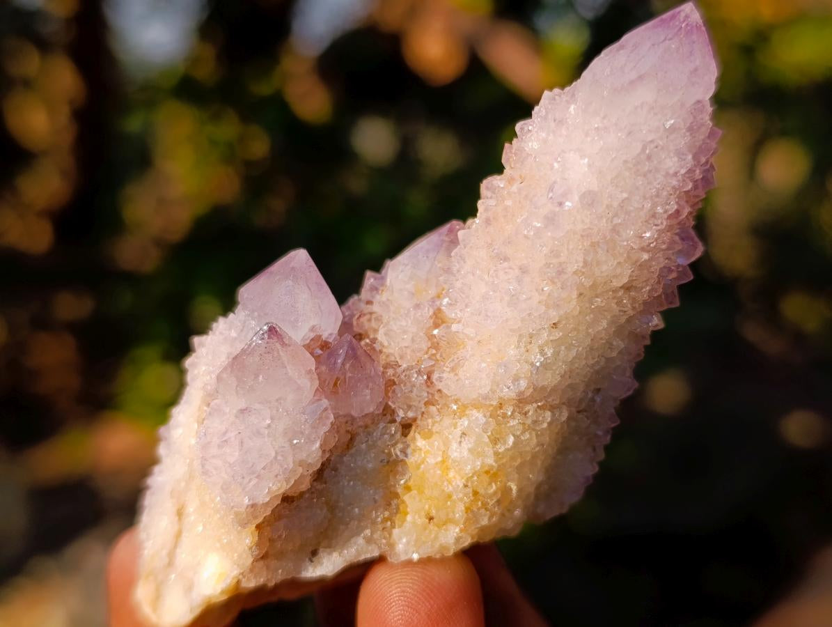 Natural Spirit Amethyst Clusters x 12 From Boekenhouthoek, South Africa - Toprock Gemstones and Minerals 