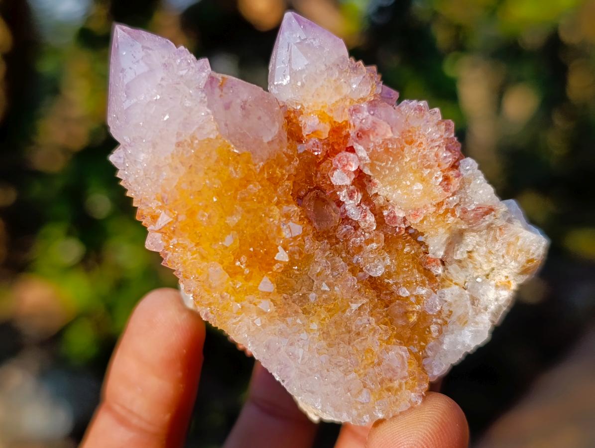 Natural Spirit Amethyst Clusters x 12 From Boekenhouthoek, South Africa - Toprock Gemstones and Minerals 