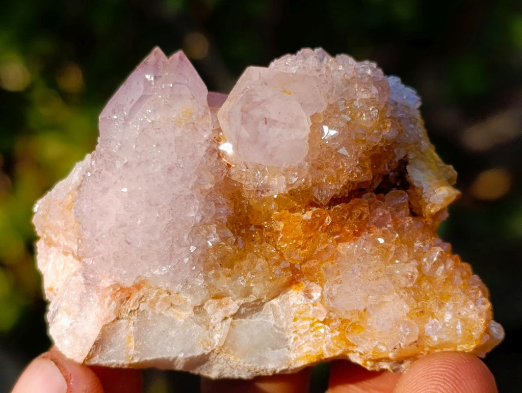 Natural Spirit Amethyst Clusters x 12 From Boekenhouthoek, South Africa - Toprock Gemstones and Minerals 