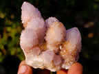 Natural Spirit Amethyst Clusters x 12 From Boekenhouthoek, South Africa - Toprock Gemstones and Minerals 