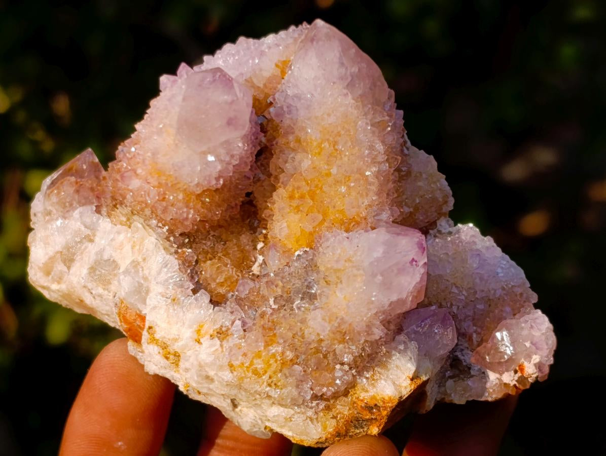 Natural Spirit Amethyst Clusters x 12 From Boekenhouthoek, South Africa - Toprock Gemstones and Minerals 