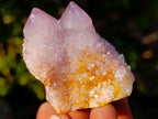 Natural Spirit Amethyst Clusters x 12 From Boekenhouthoek, South Africa - Toprock Gemstones and Minerals 
