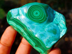 Polished Malacolla Free Forms x 6 From Kulukuluku, Congo - Toprock Gemstones and Minerals 