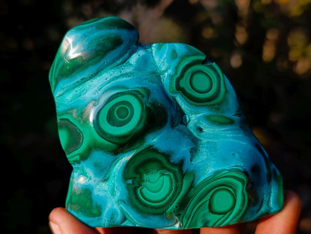 Polished Malacolla Free Forms x 6 From Kulukuluku, Congo - Toprock Gemstones and Minerals 