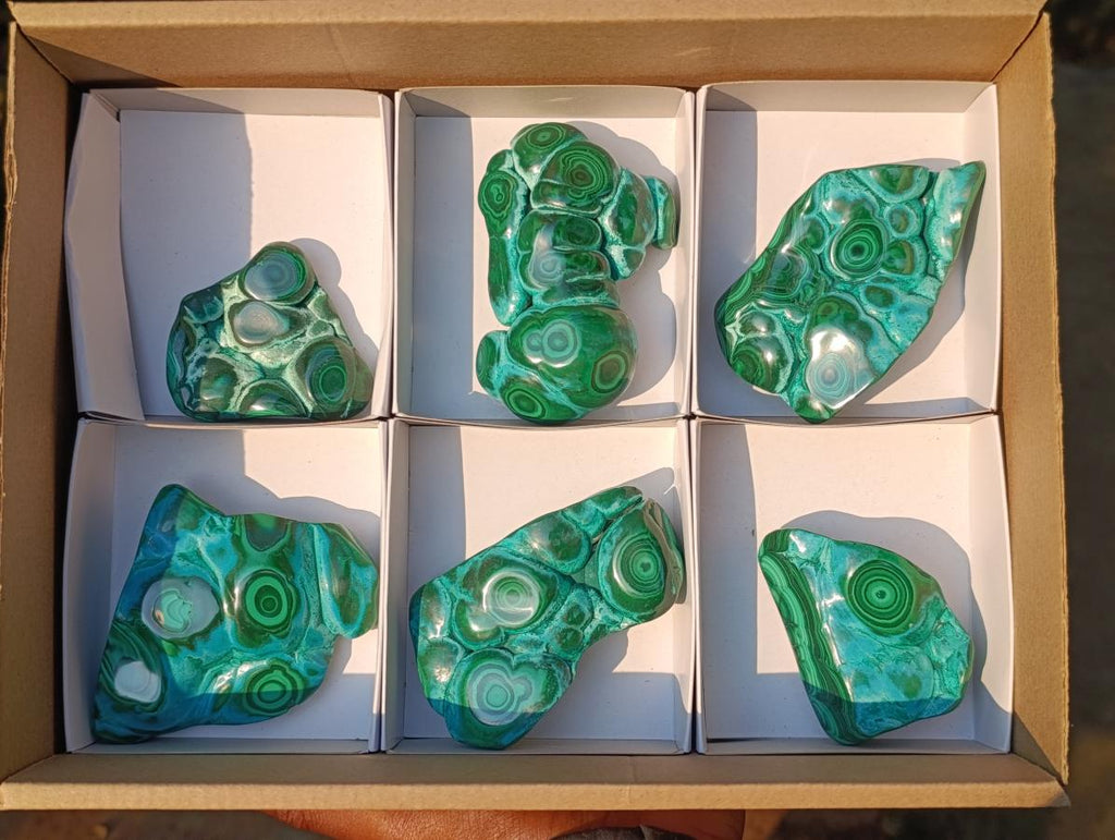 Polished Malacolla Free Forms x 6 From Kulukuluku, Congo - Toprock Gemstones and Minerals 