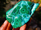 Polished Malacolla Free Forms x 6 From Kulukuluku, Congo - Toprock Gemstones and Minerals 