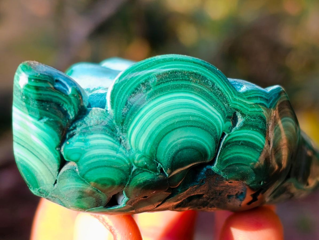 Polished Malacolla Free Forms x 6 From Kulukuluku, Congo - Toprock Gemstones and Minerals 