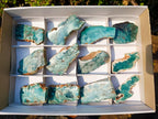 Polished One Side Mtorolite Chrysoprase Slices with Natural Edging x 12 From Mutorashanga, Zimbabwe - Toprock Gemstones and Minerals 