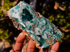 Polished One Side Mtorolite Chrysoprase Slices with Natural Edging x 12 From Mutorashanga, Zimbabwe - Toprock Gemstones and Minerals 