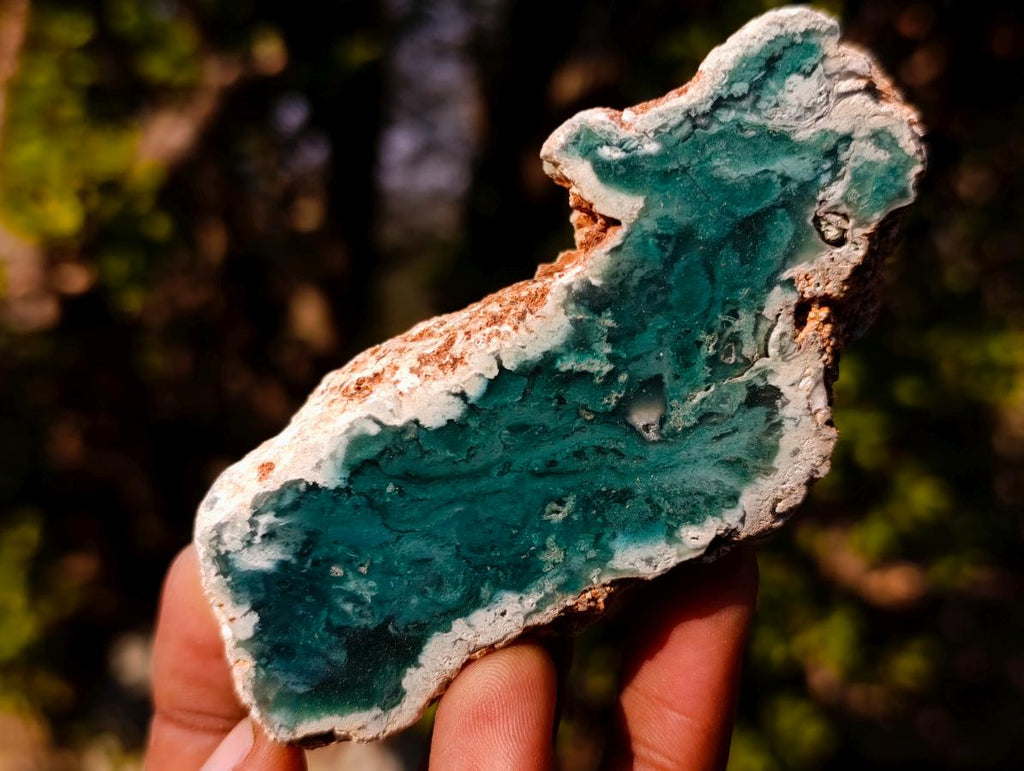 Polished One Side Mtorolite Chrysoprase Slices with Natural Edging x 12 From Mutorashanga, Zimbabwe - Toprock Gemstones and Minerals 