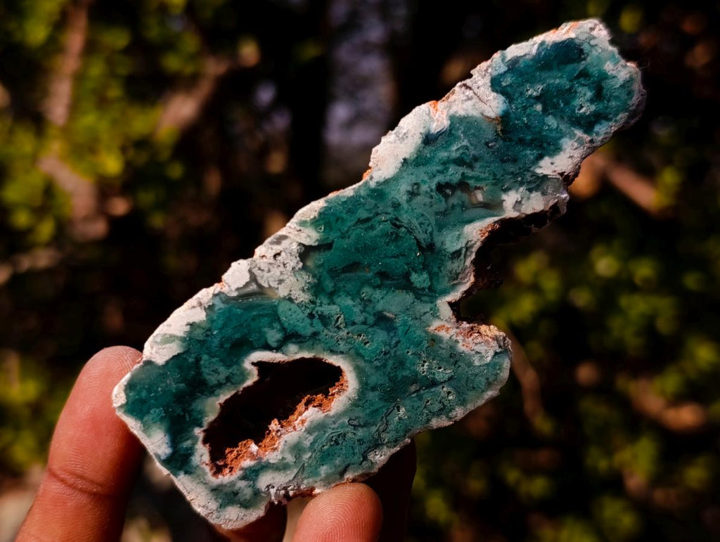 Polished One Side Mtorolite Chrysoprase Slices with Natural Edging x 12 From Mutorashanga, Zimbabwe - Toprock Gemstones and Minerals 