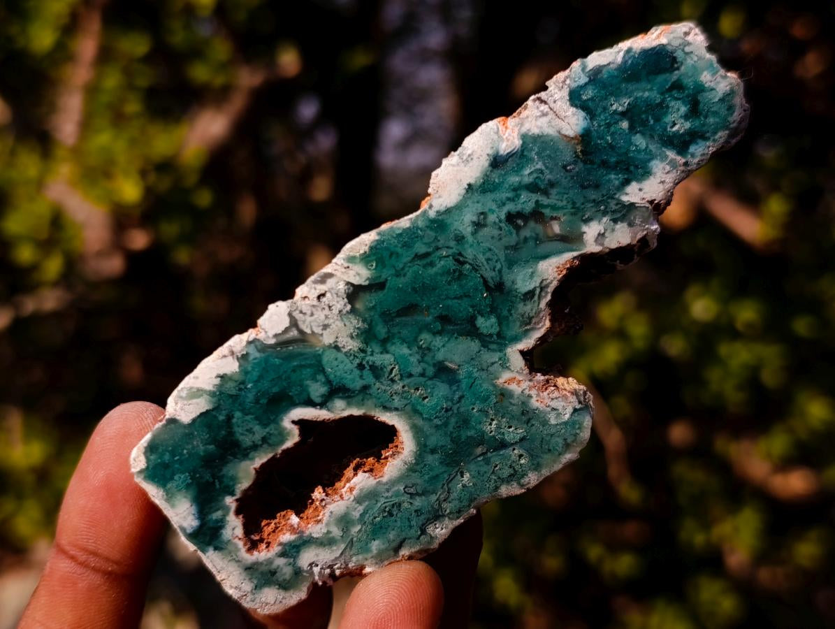 Polished One Side Mtorolite Chrysoprase Slices with Natural Edging x 12 From Mutorashanga, Zimbabwe - Toprock Gemstones and Minerals 