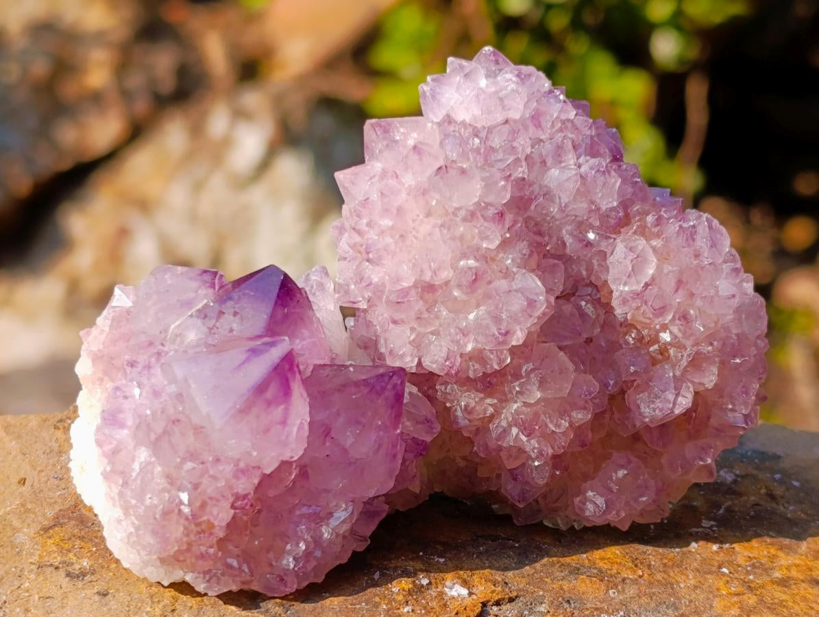 Natural Spirit Amethyst Clusters x 35 From Boekenhouthoek, South Africa - Toprock Gemstones and Minerals 