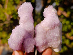 Natural Spirit Amethyst Clusters x 35 From Boekenhouthoek, South Africa - Toprock Gemstones and Minerals 