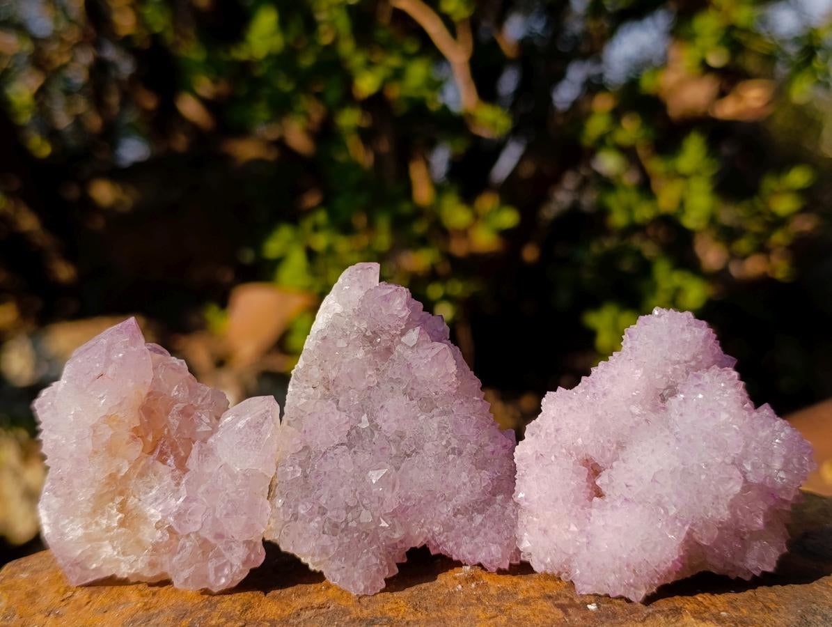 Natural Spirit Amethyst Clusters x 35 From Boekenhouthoek, South Africa - Toprock Gemstones and Minerals 
