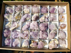 Natural Spirit Amethyst Clusters x 35 From Boekenhouthoek, South Africa - Toprock Gemstones and Minerals 