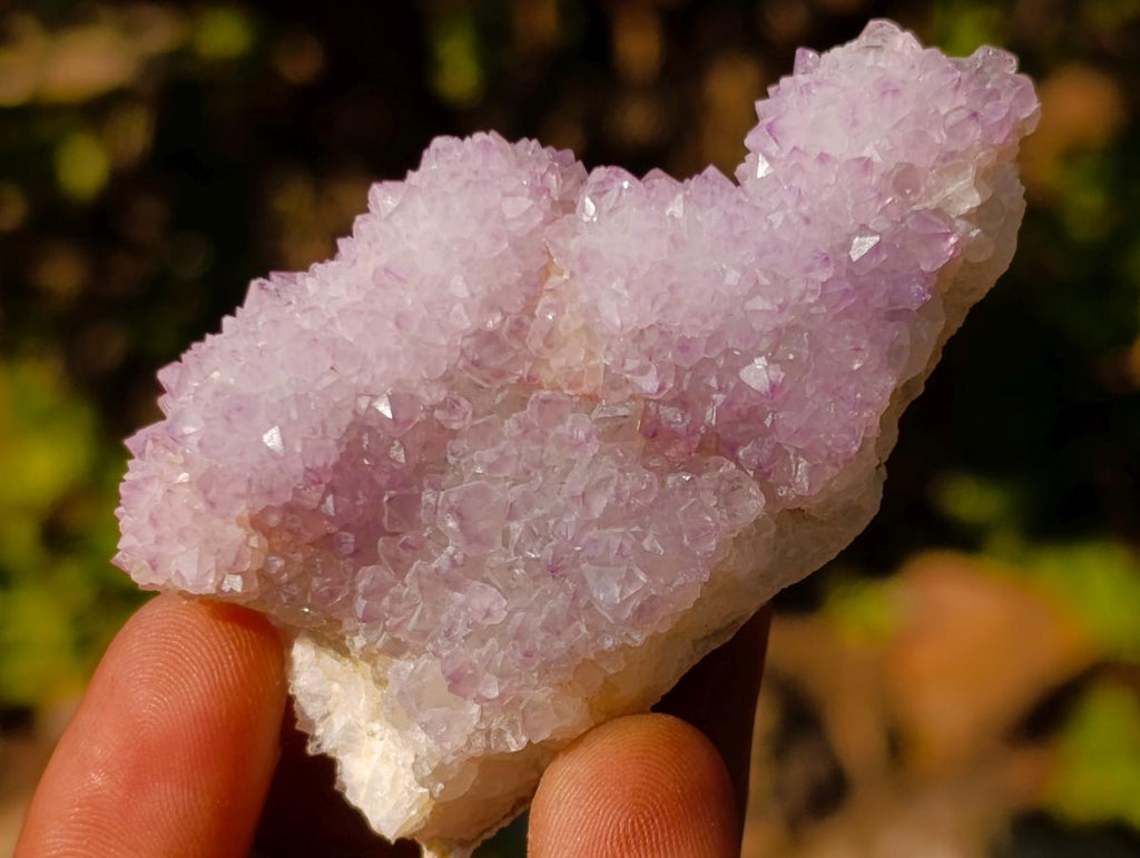 Natural Spirit Amethyst Clusters x 35 From Boekenhouthoek, South Africa - Toprock Gemstones and Minerals 