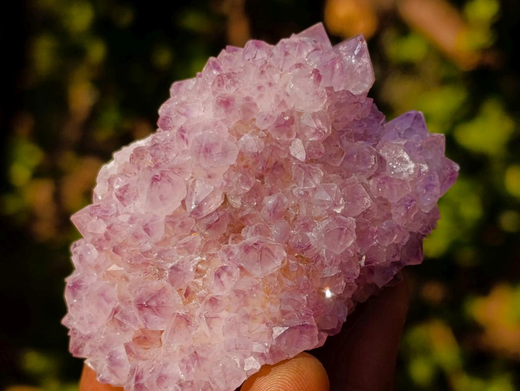 Natural Spirit Amethyst Clusters x 35 From Boekenhouthoek, South Africa - Toprock Gemstones and Minerals 