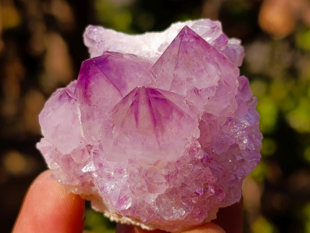 Natural Spirit Amethyst Clusters x 35 From Boekenhouthoek, South Africa - Toprock Gemstones and Minerals 