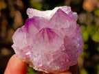 Natural Spirit Amethyst Clusters x 35 From Boekenhouthoek, South Africa - Toprock Gemstones and Minerals 
