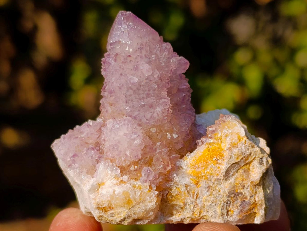 Natural Spirit Amethyst Clusters x 35 From Boekenhouthoek, South Africa - Toprock Gemstones and Minerals 