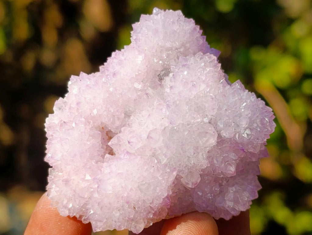 Natural Spirit Amethyst Clusters x 35 From Boekenhouthoek, South Africa - Toprock Gemstones and Minerals 